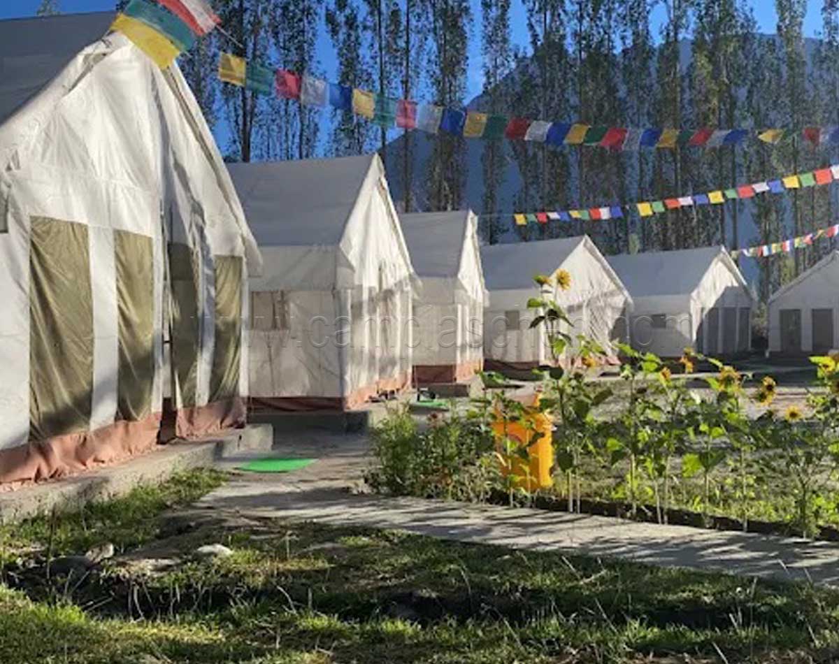 About Camp Laschen Nubra