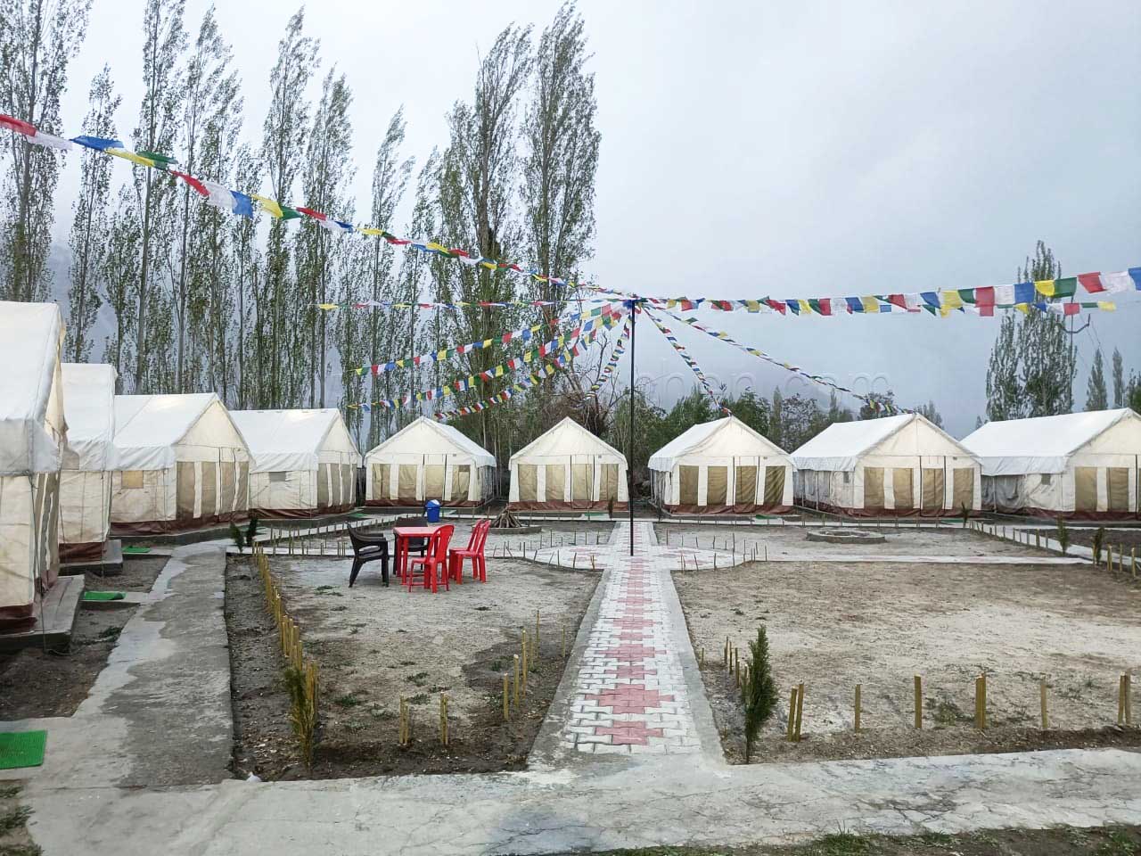 Camp Laschen Nubra Ladakh Exterior