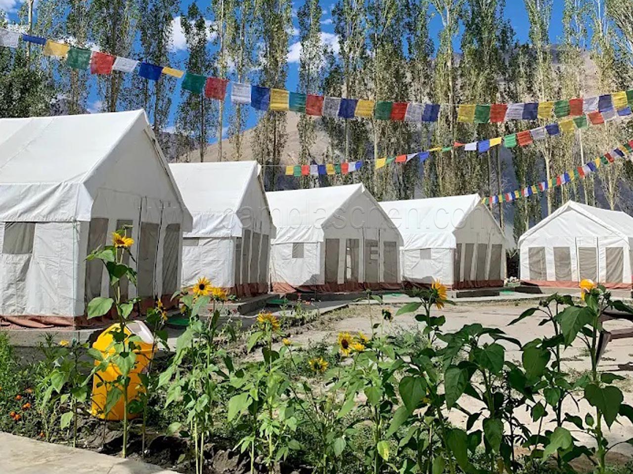 Pangong Bliss Cottage